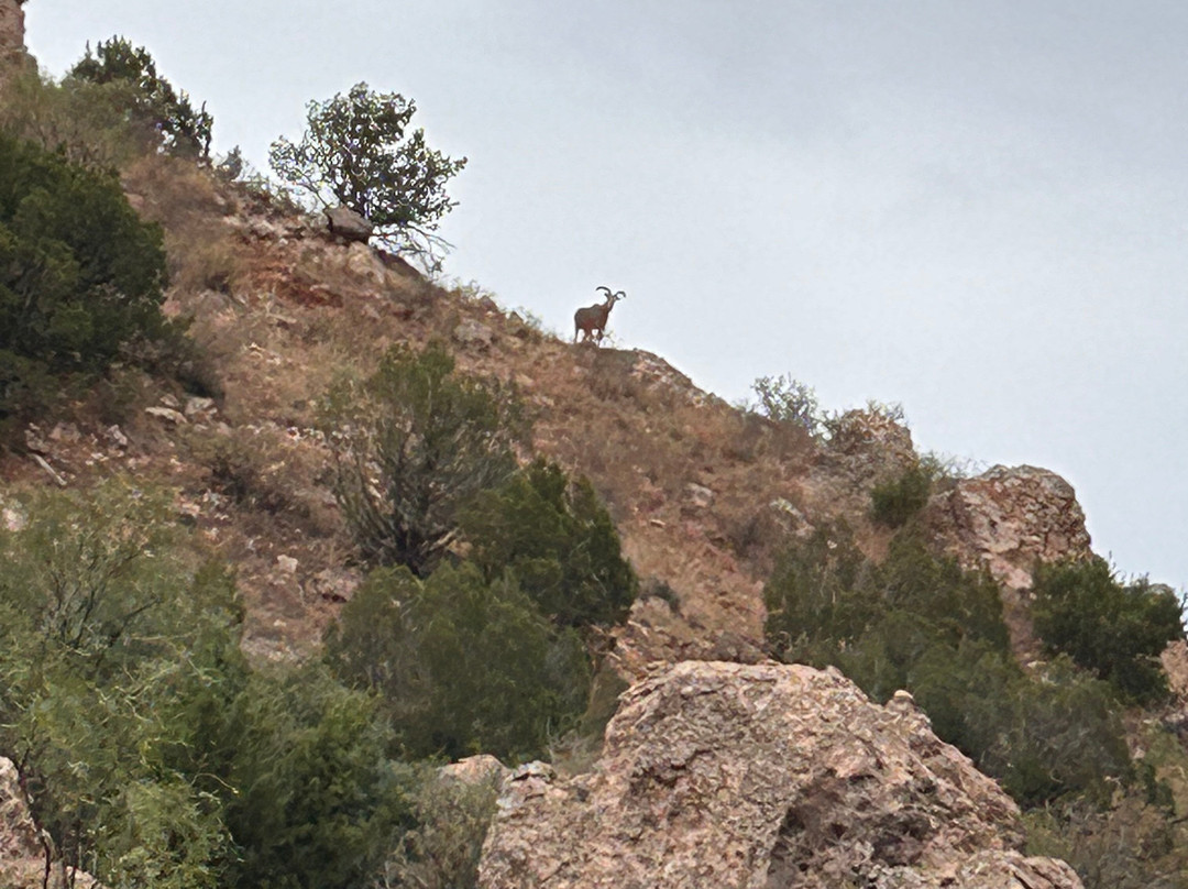 Palo Duro Riding Stables-Canyon必去景点