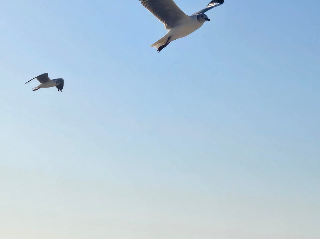 Master Turismo Slz-Sao Jose de Ribamar必去景点