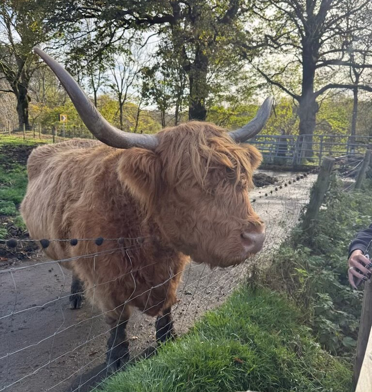 Bruce's Scotland Tours-格拉斯哥必去景点