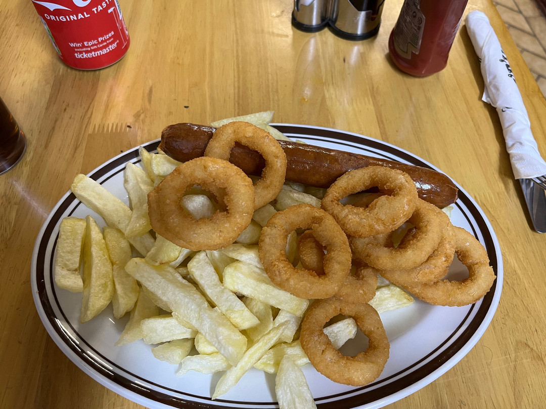 Friendly Dolphin主图