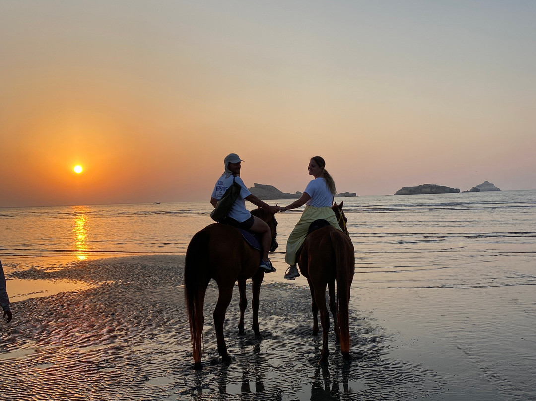 Horse Riding Oman-Barka必去景点