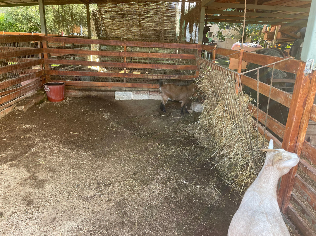 Therianos Family Farm-Kallithea必去景点