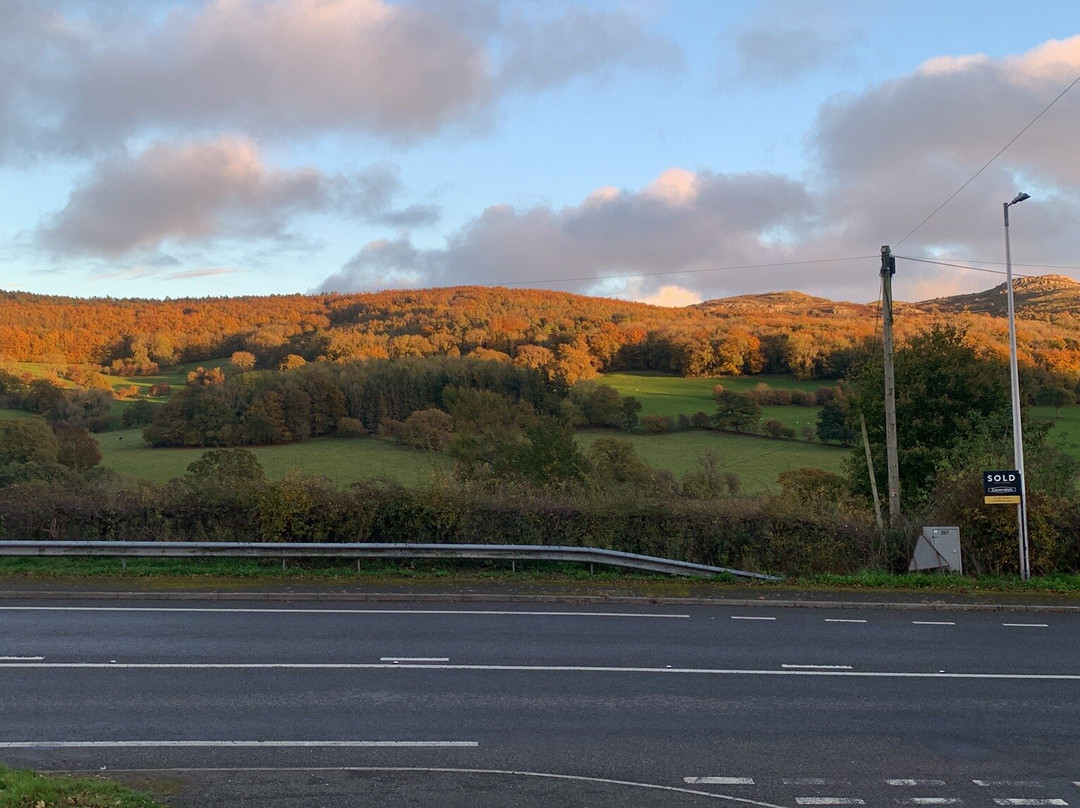 Pentre Cerrig Country House主图