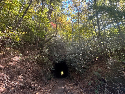 Andrews Valley Rail Tours-Andrews必去景点