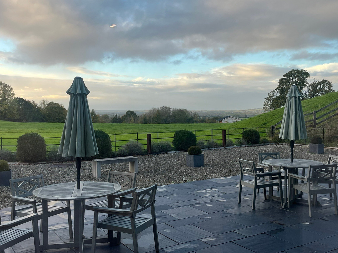 农家庭院旅馆主图