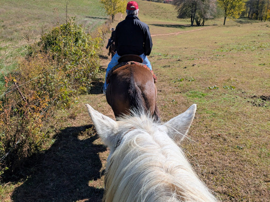Cowgirl Up Stables-Cherry Log必去景点