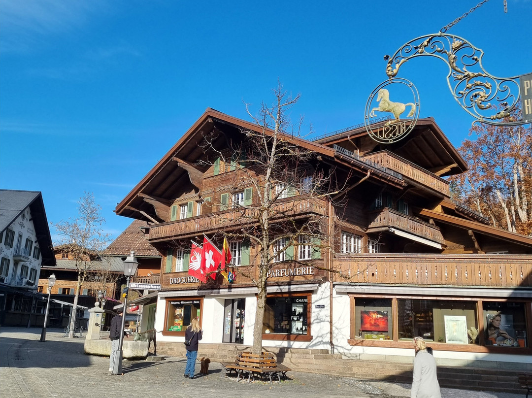 Gstaad Saanenland Tourismus-格斯塔德必去景点
