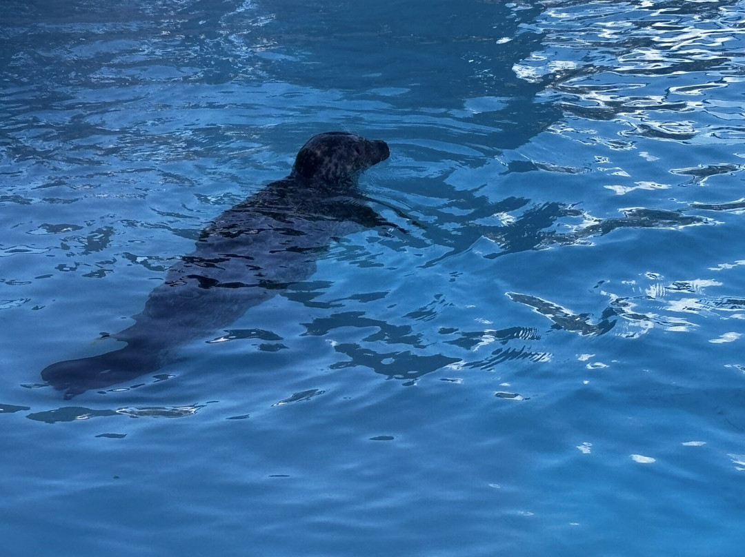 Bio-topia-敦克尔克必去景点