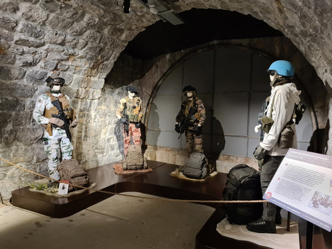 Musée des Troupes de Montagne-格勒诺布尔必去景点
