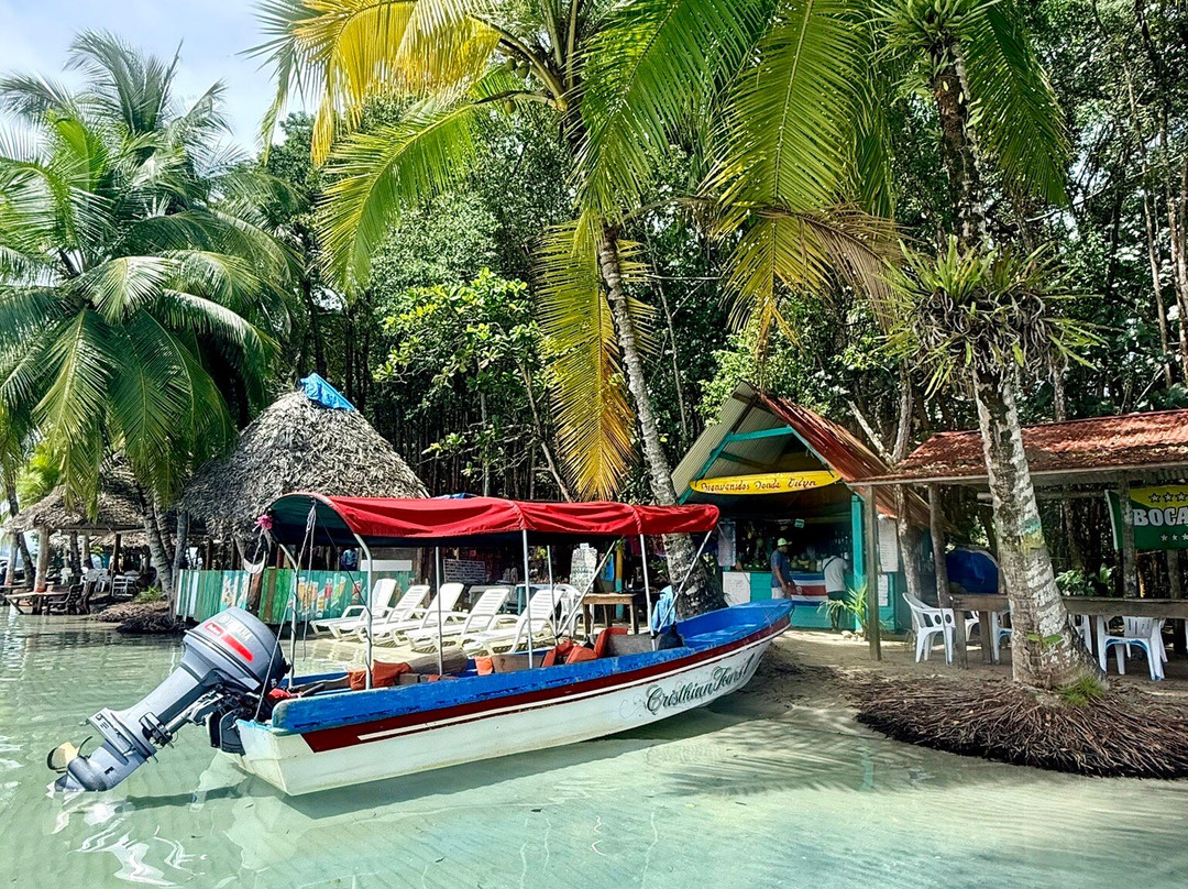 Starfish Beach-博卡斯镇必去景点