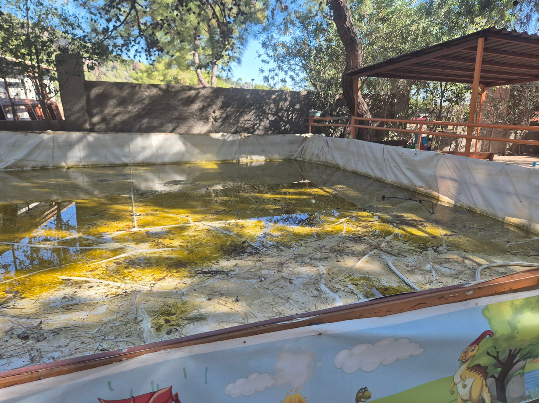 Dinopark-Goynuk必去景点