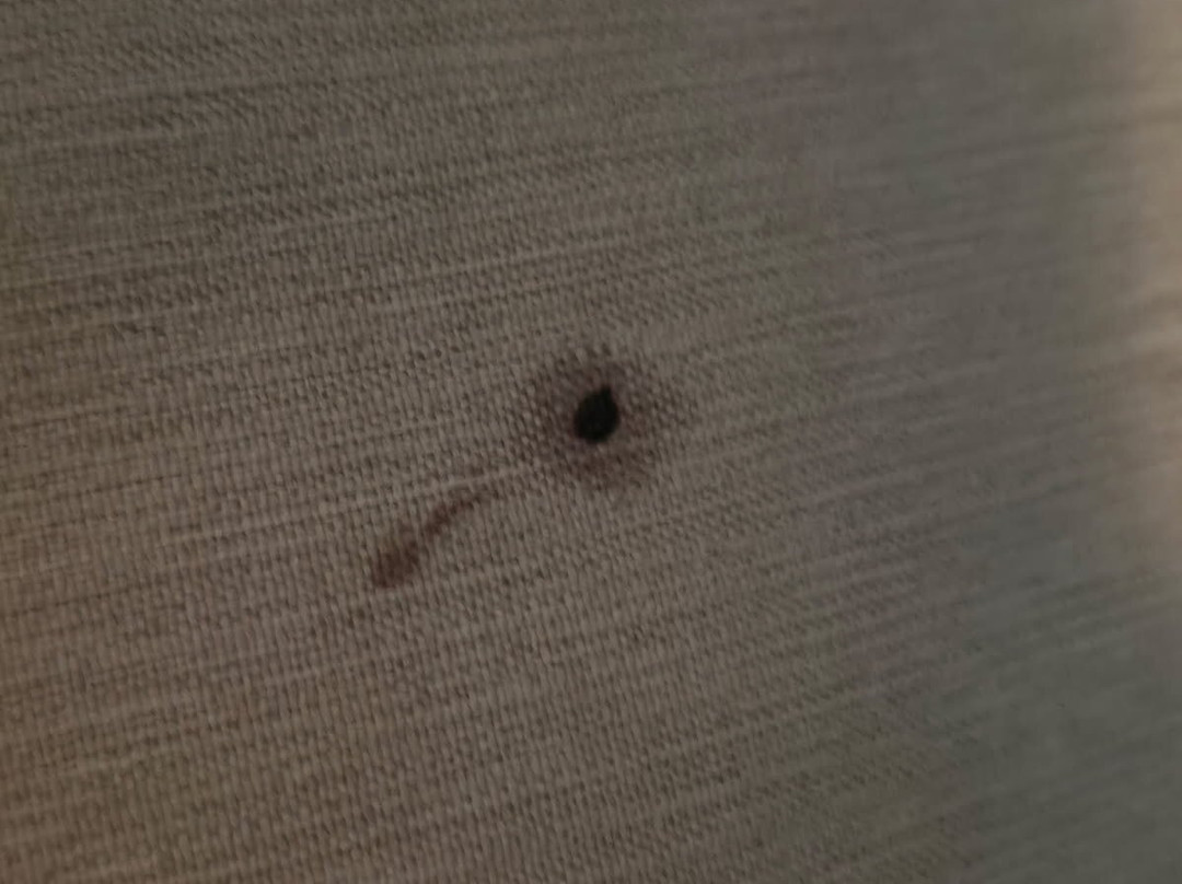 Flamingo Land Resort-Kirby Misperton必去景点