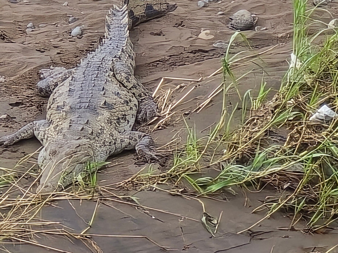 Best of Costa Rica DMC-圣何塞必去景点