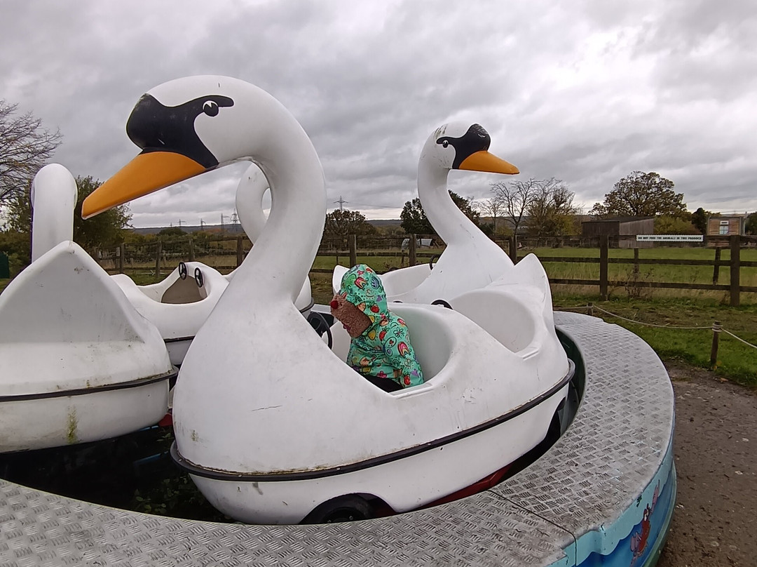 Lee Valley Animal Adventure Park-沃尔萨姆阿比必去景点