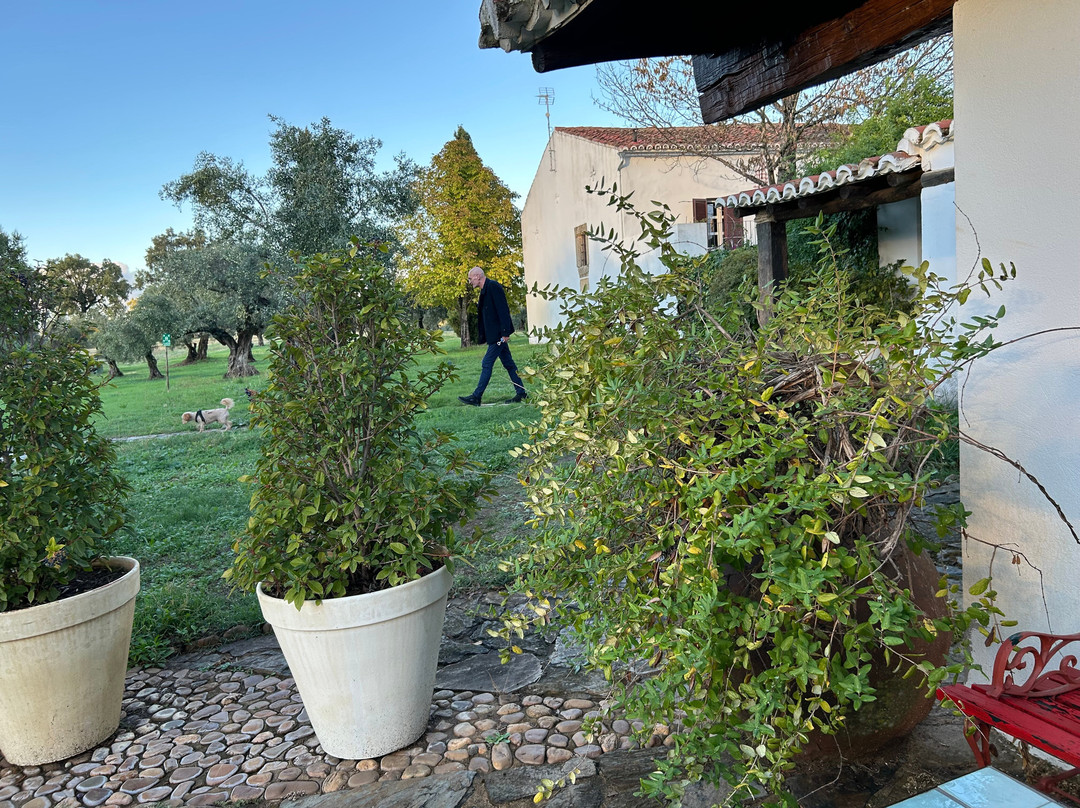 Finca El Azahar主图