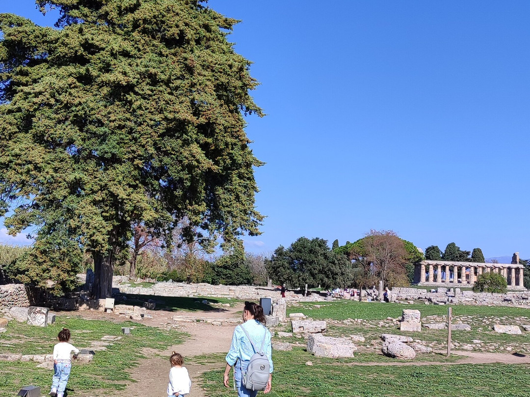 Museo Archeologico Nazionale Di Paestum-Paestum必去景点