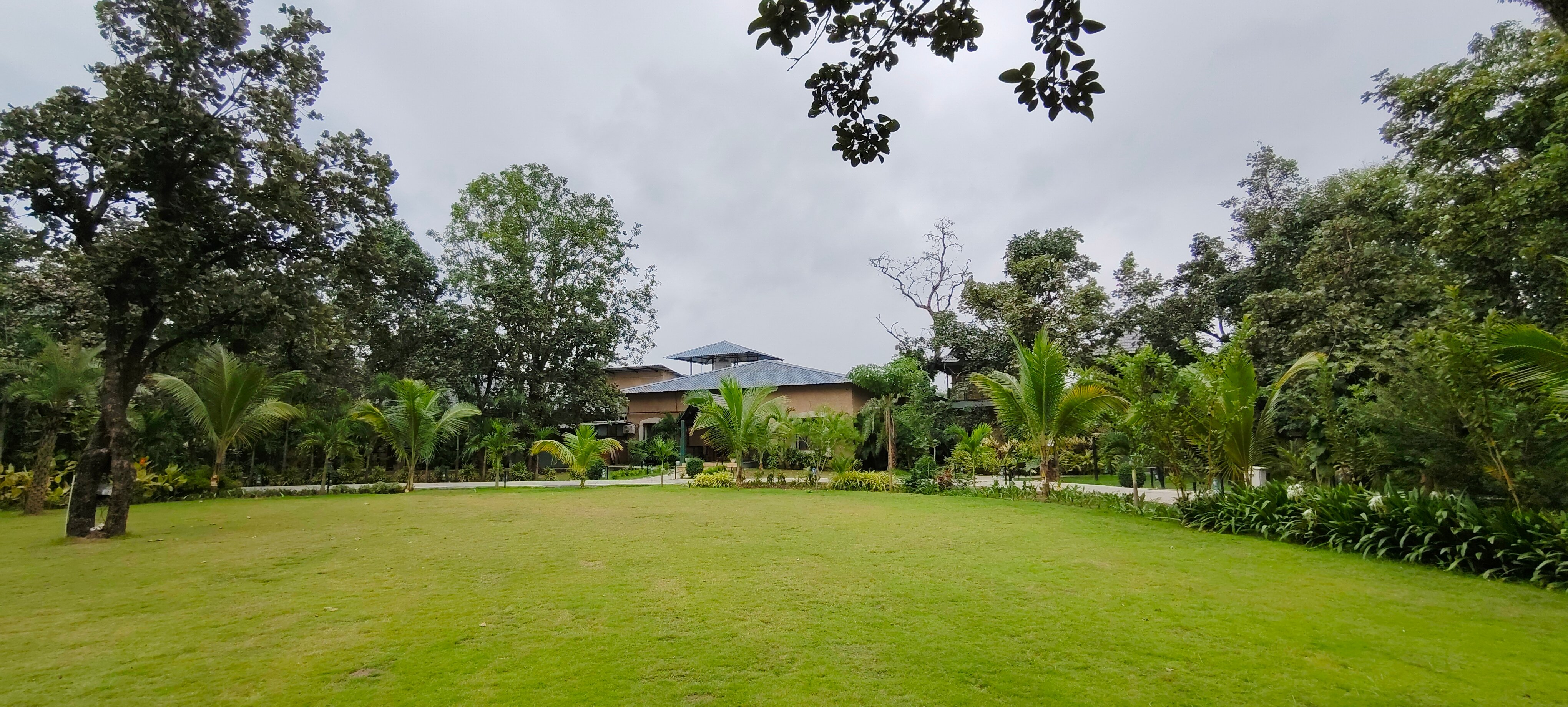 Sterling Padam Pench-官方