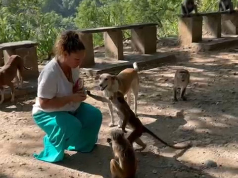 Ella Excursions Tours-埃勒必去景点