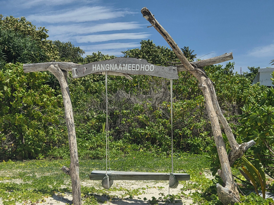 Local Island Inn主图