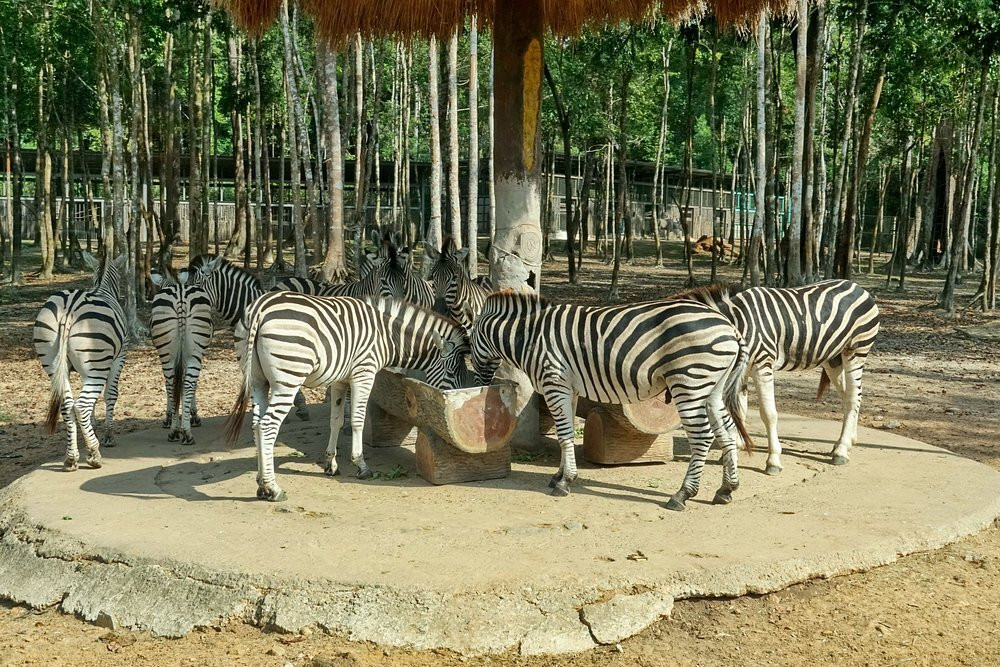 珍珠王国野生动物园-富国岛必去景点