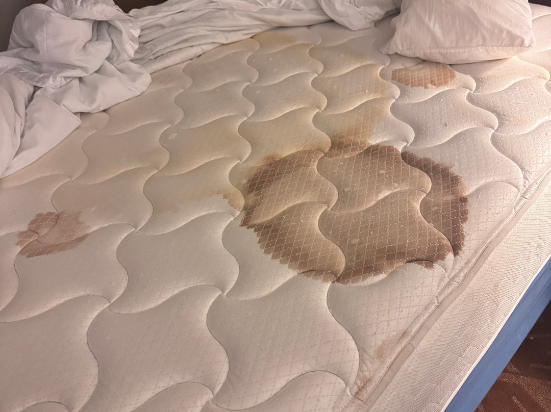 American Inn And Suites Dundee主图