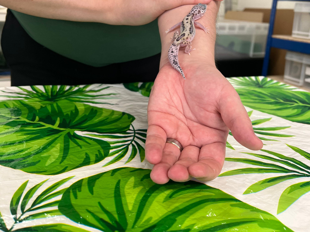 Djl Exotics-Frinton-On-Sea必去景点