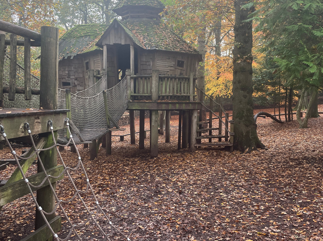 RHS Garden Harlow Carr-哈罗盖特必去景点