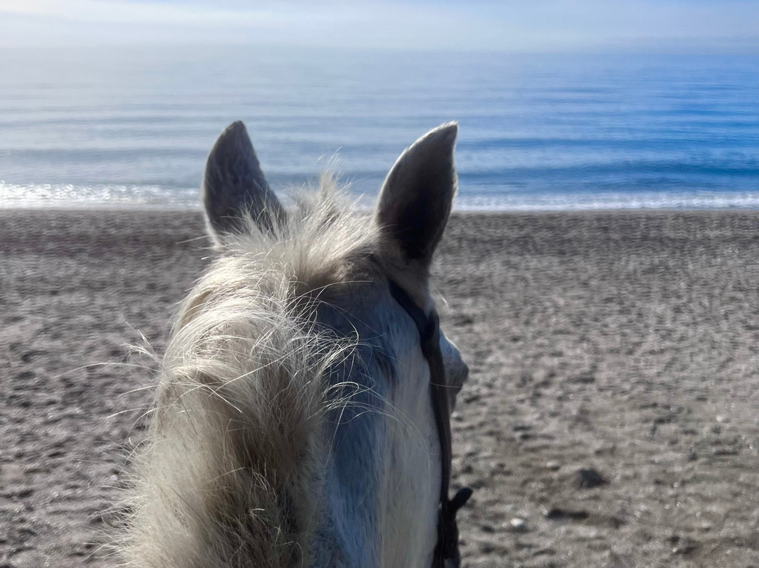 Andale Riding Nerja-内尔哈必去景点