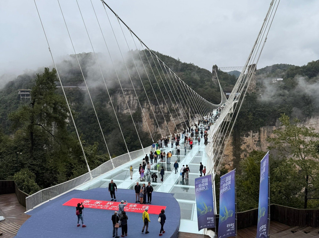 张家界玻璃桥-张家界市必去景点
