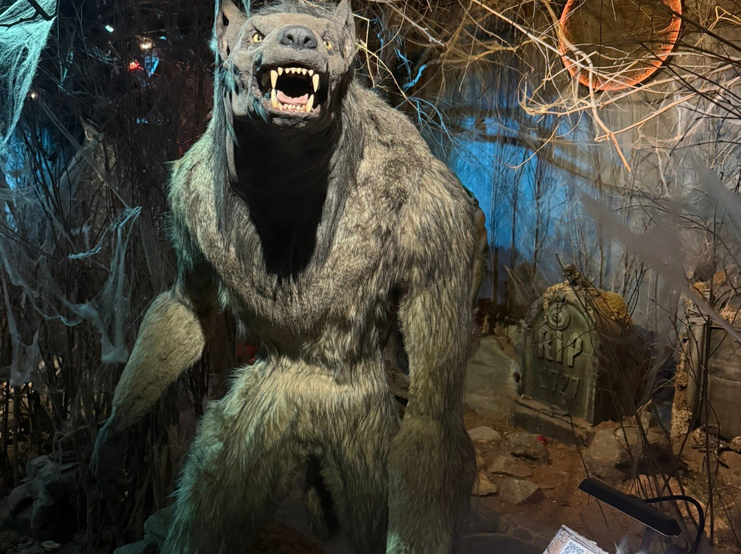 Bestiariy-圣彼得堡必去景点