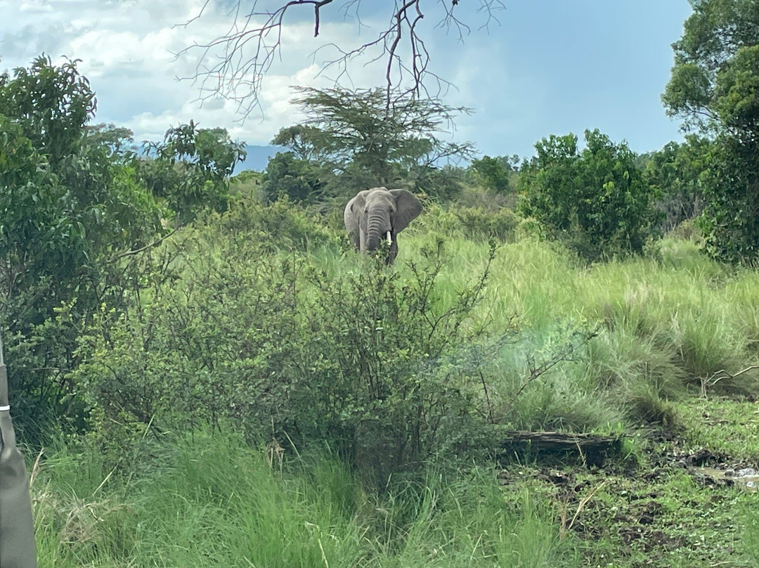 Sunworld Safaris-内罗毕必去景点