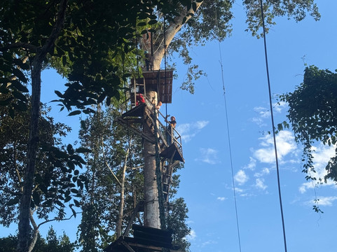 Avatar Amazon Lodge & Canopy Park主图