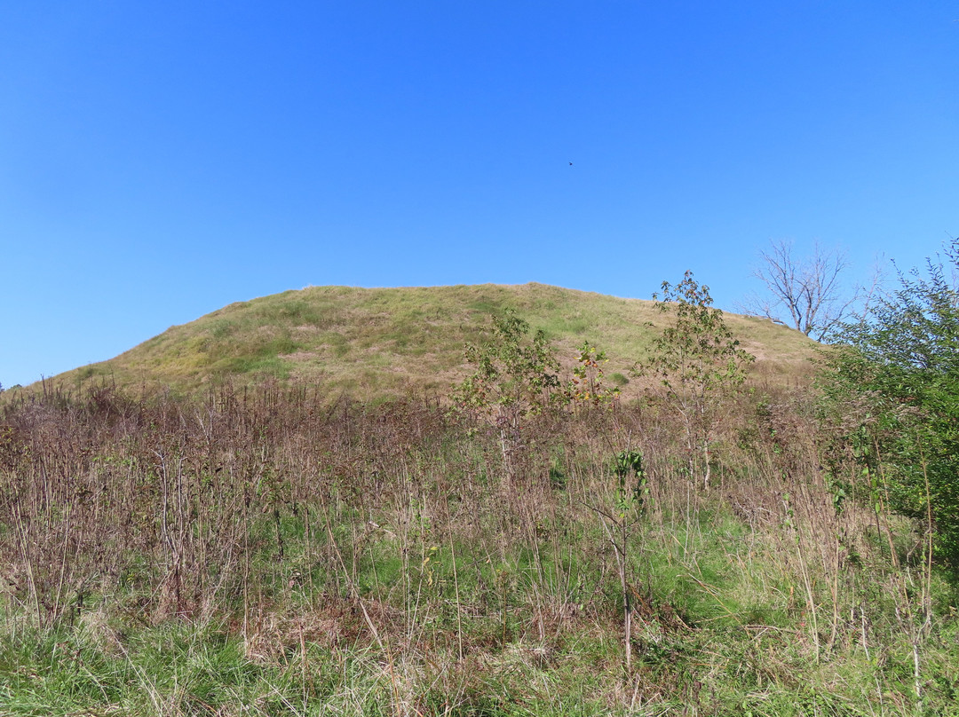 Pinson Mounds State Park-Pinson必去景点