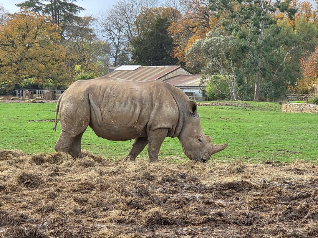 科茨沃尔德野生动物公园和花园-伯福德必去景点