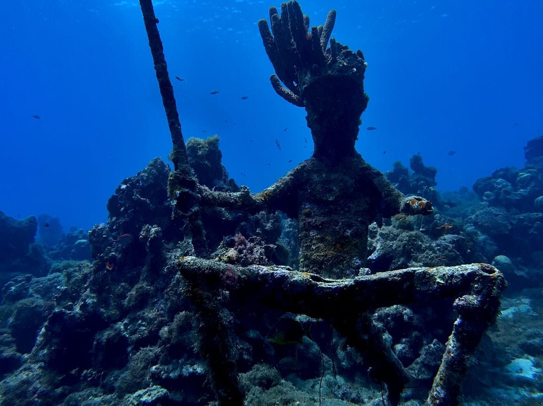 Fundiving Curacao-威廉斯塔德必去景点