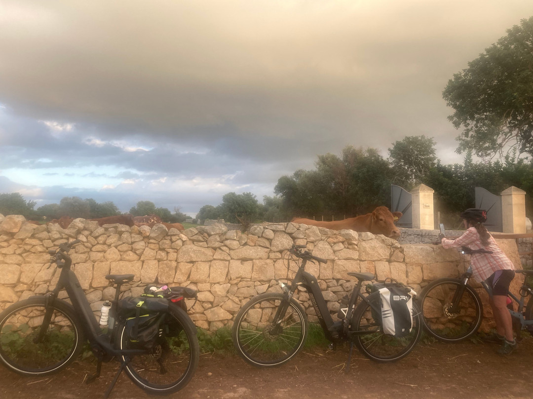 Sicily Bike Routes-希克利必去景点