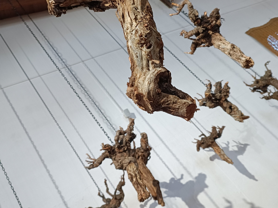 Bodegas Fariña-Toro必去景点