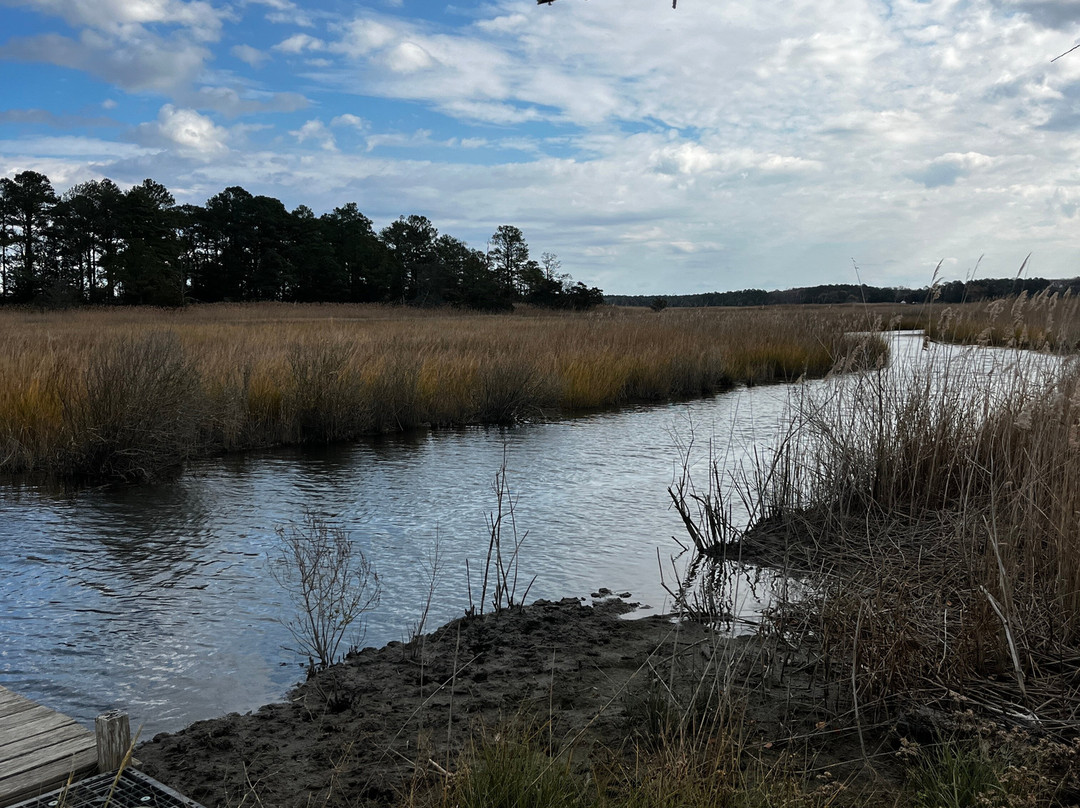 Whitehaven Hotel主图