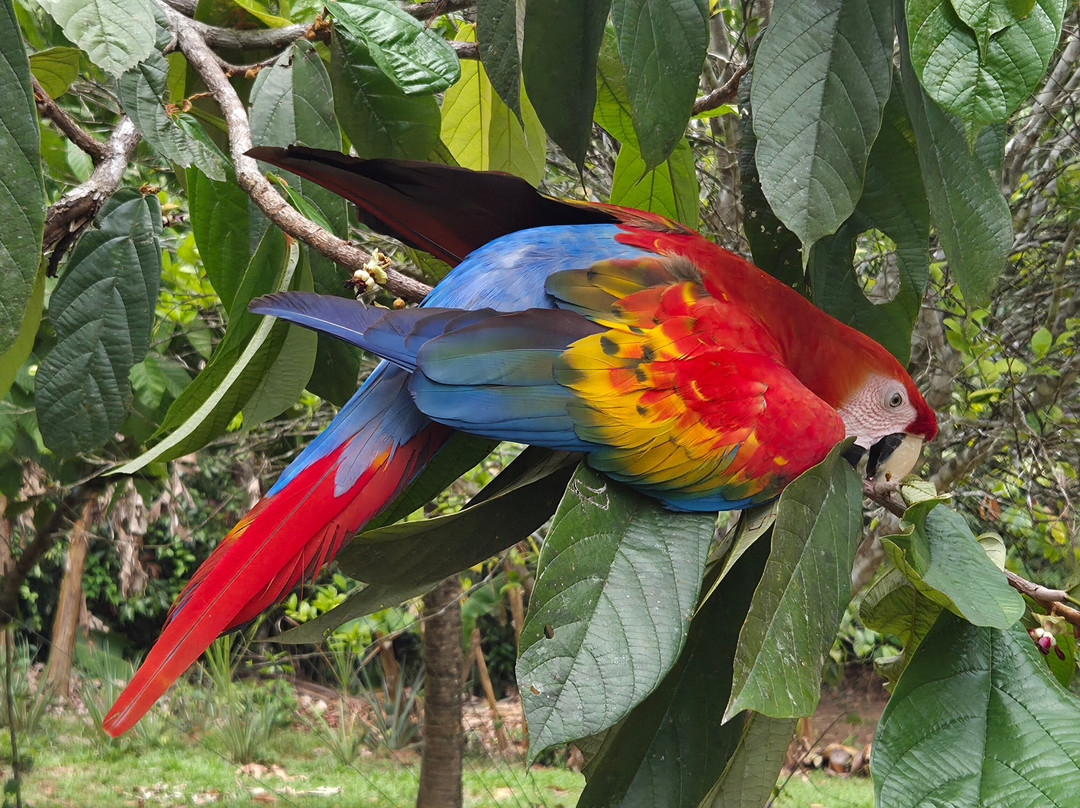Machupicchu Challenge Peru-库斯科必去景点