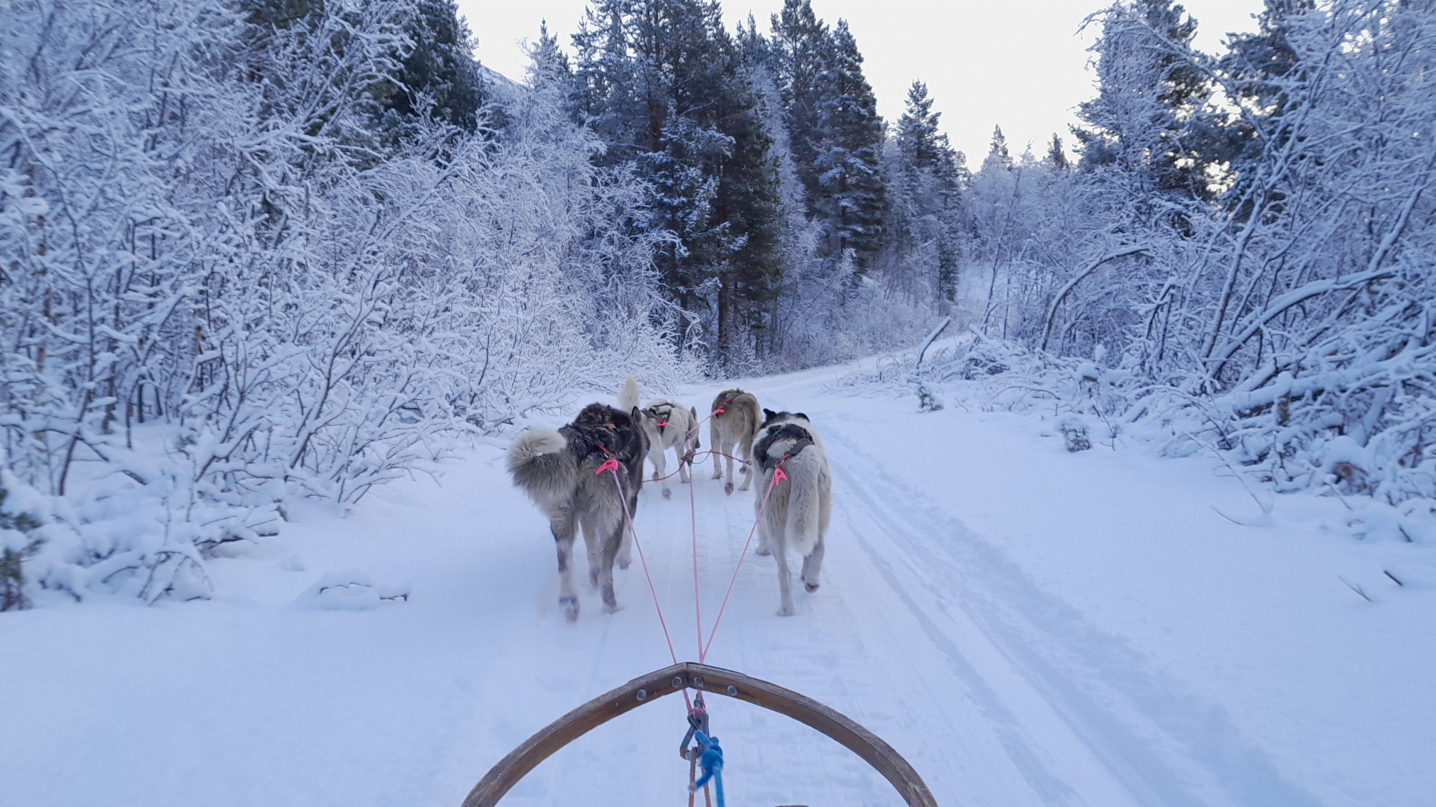 阿克提克帕诺拉玛旅舍-官方