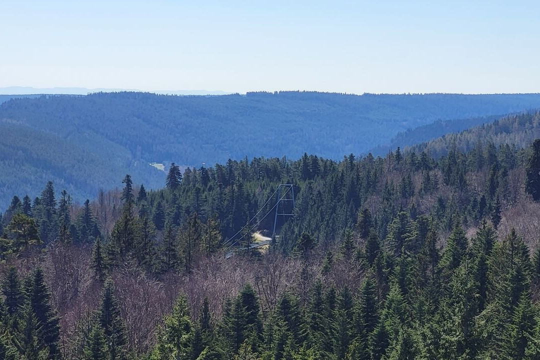 WildLine Hängebrücke-Bad Wildbad必去景点