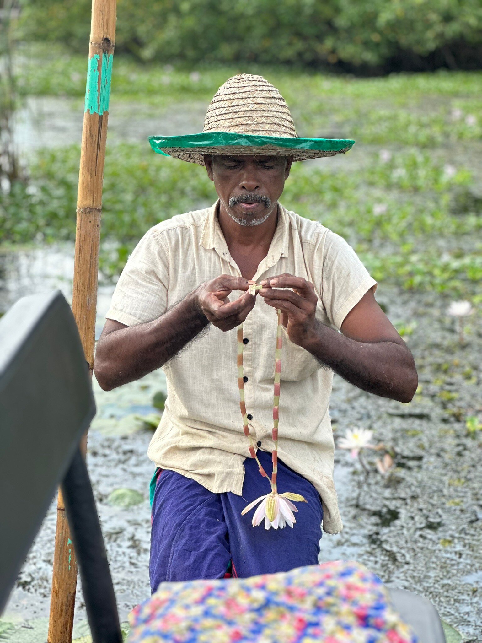 Maya Tangalle-官方