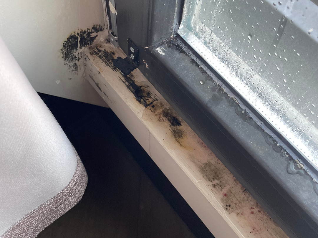 Manzo's Suites主图