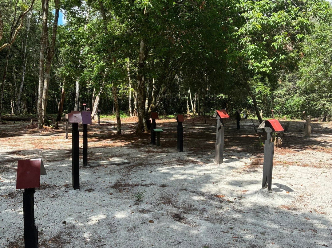 Jodensavanne-帕拉马里博必去景点