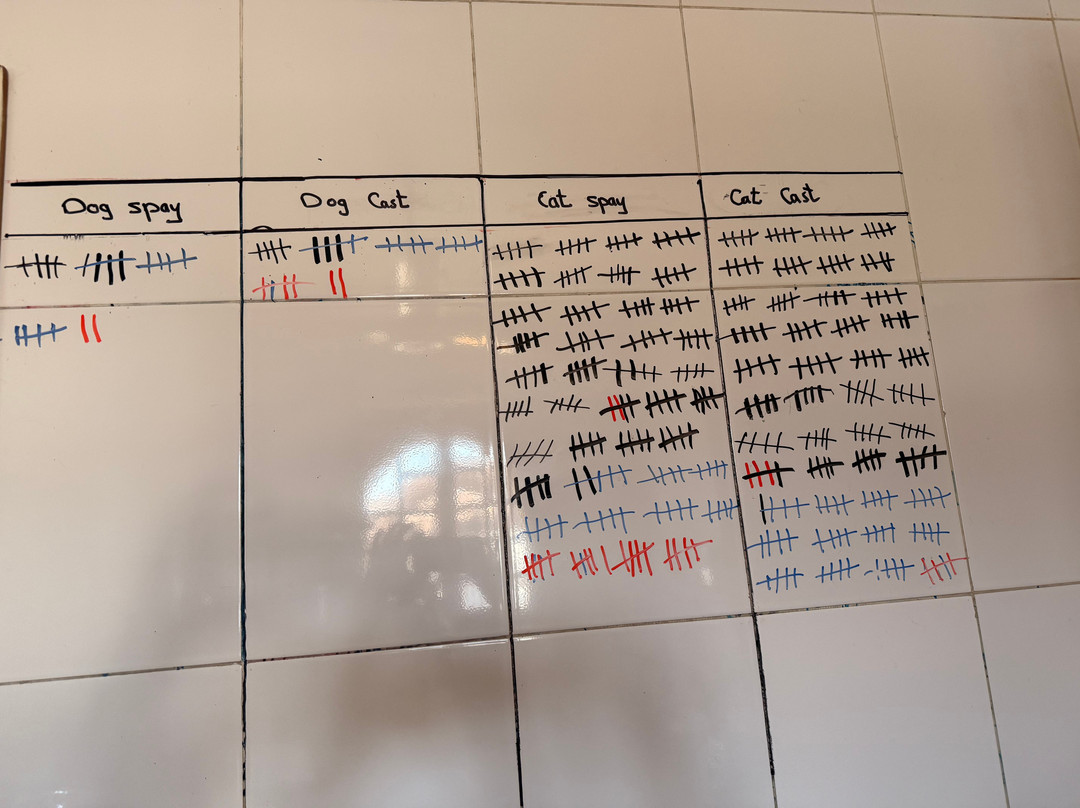 ACE - Animal Care in Egypt-卢克索必去景点