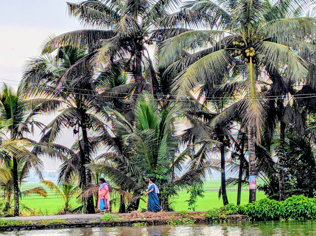 Rose Gardens Tours and Travels-慕那尔必去景点