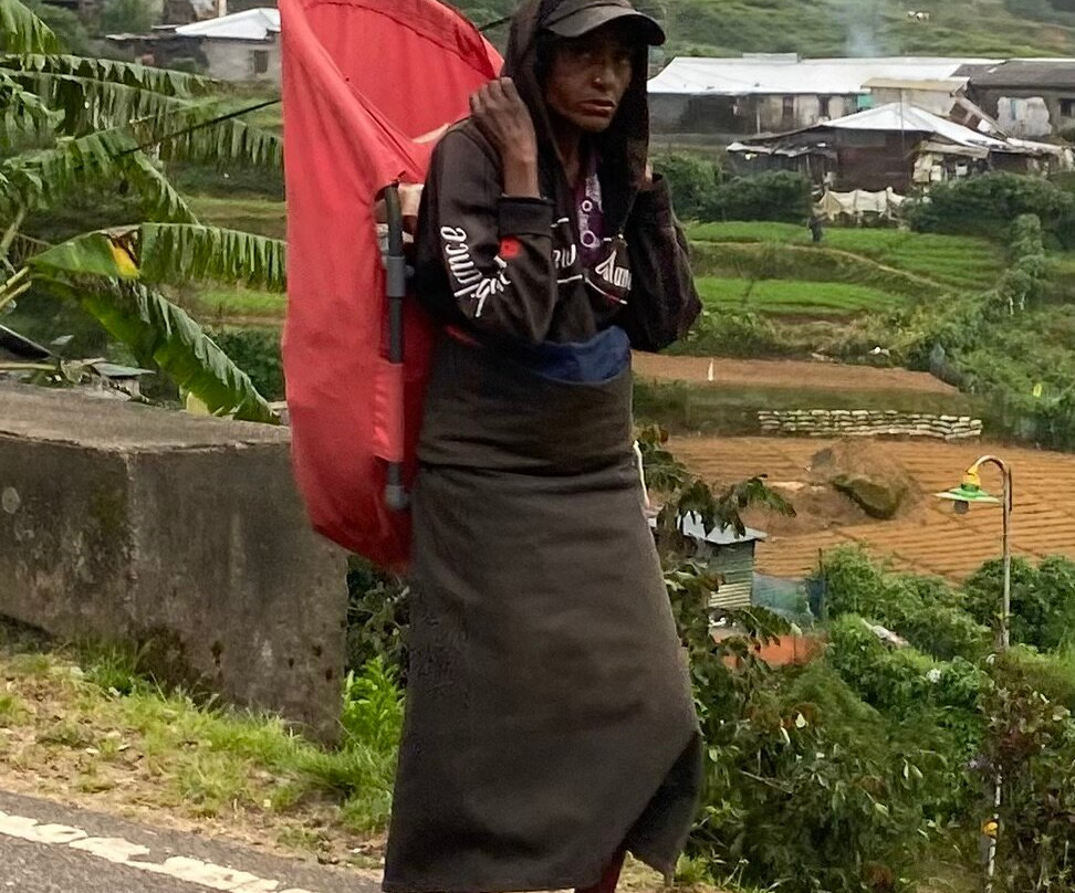 Amaya Tours-尼甘布必去景点