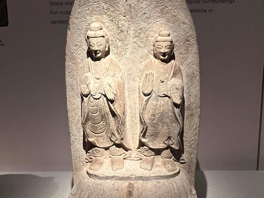 震旦博物館-上海市必去景点