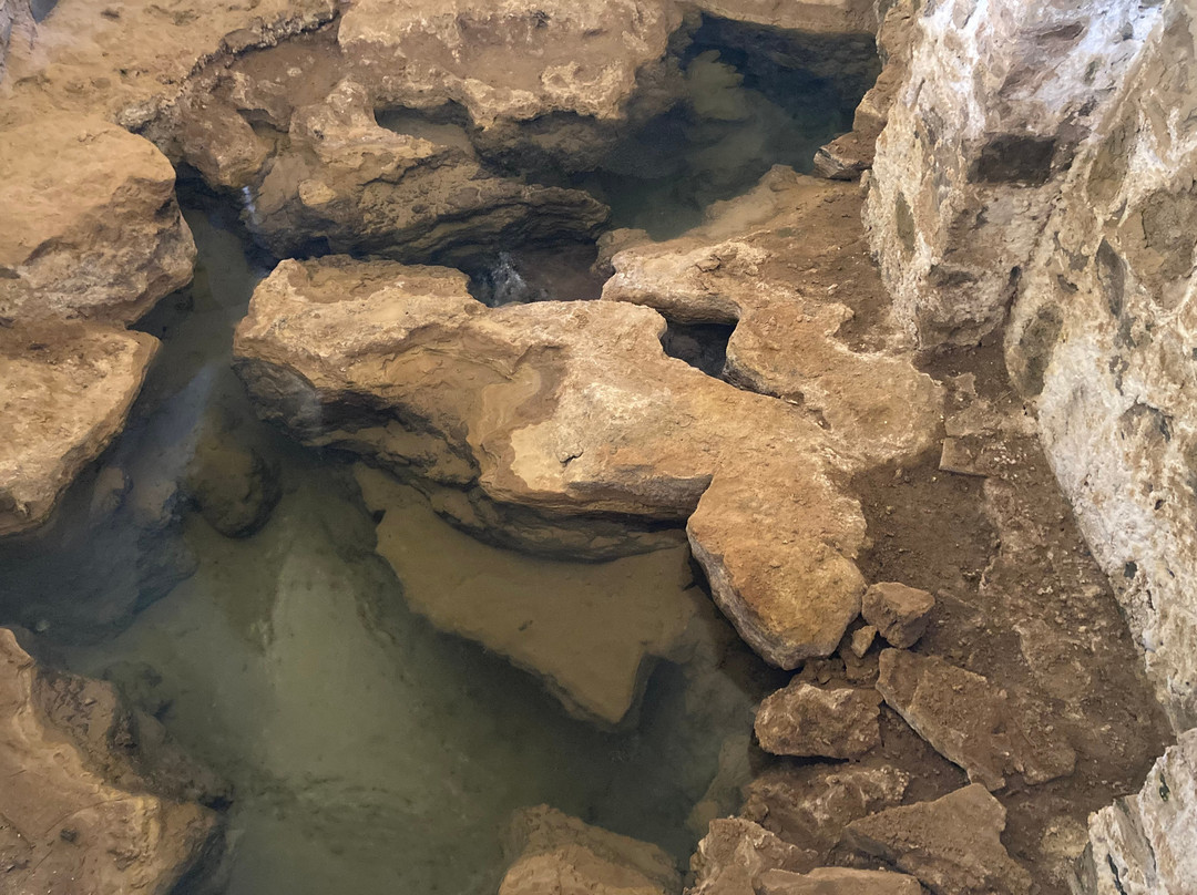 Le Musée des Sources de Lalla Mimouna-Tinejdad必去景点