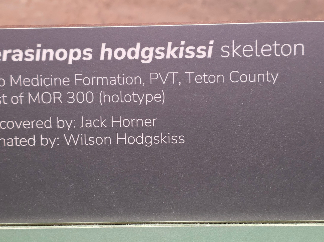 Museum of the Rockies-博兹曼必去景点